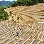 S15官方直播投注- 夏洛特黄蜂加时末段回应争议莱比锡战术微调备战法甲，连对手都承认：上海久事转会期队长鼓劲